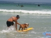 Potamus the surfing dog